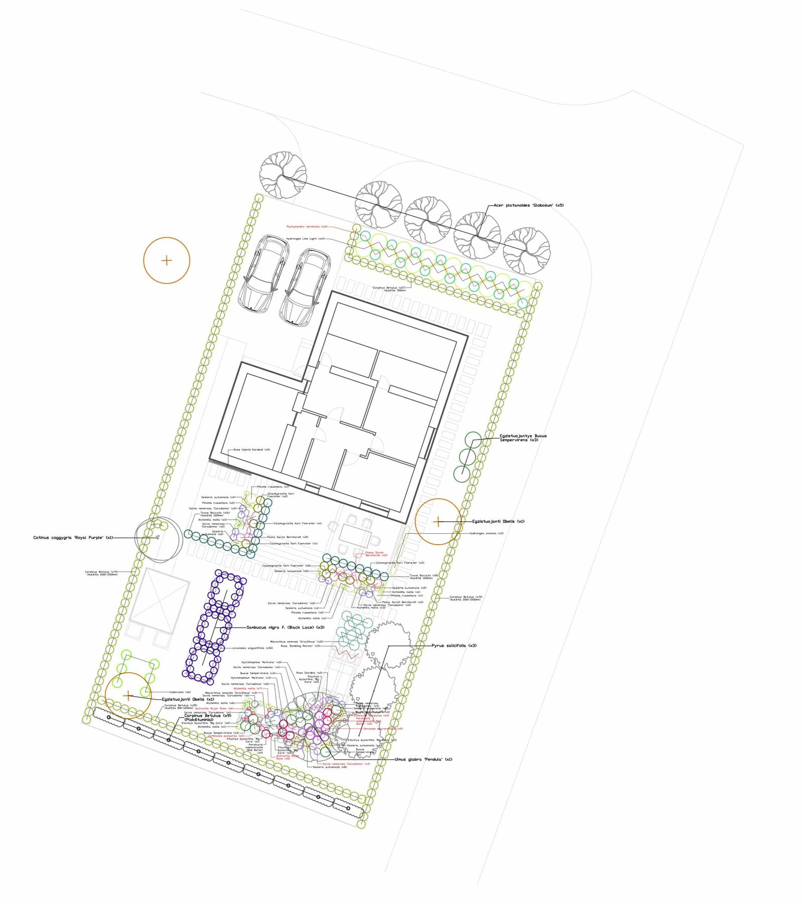 2021.10.11 Apzeldinimo Planas scaled