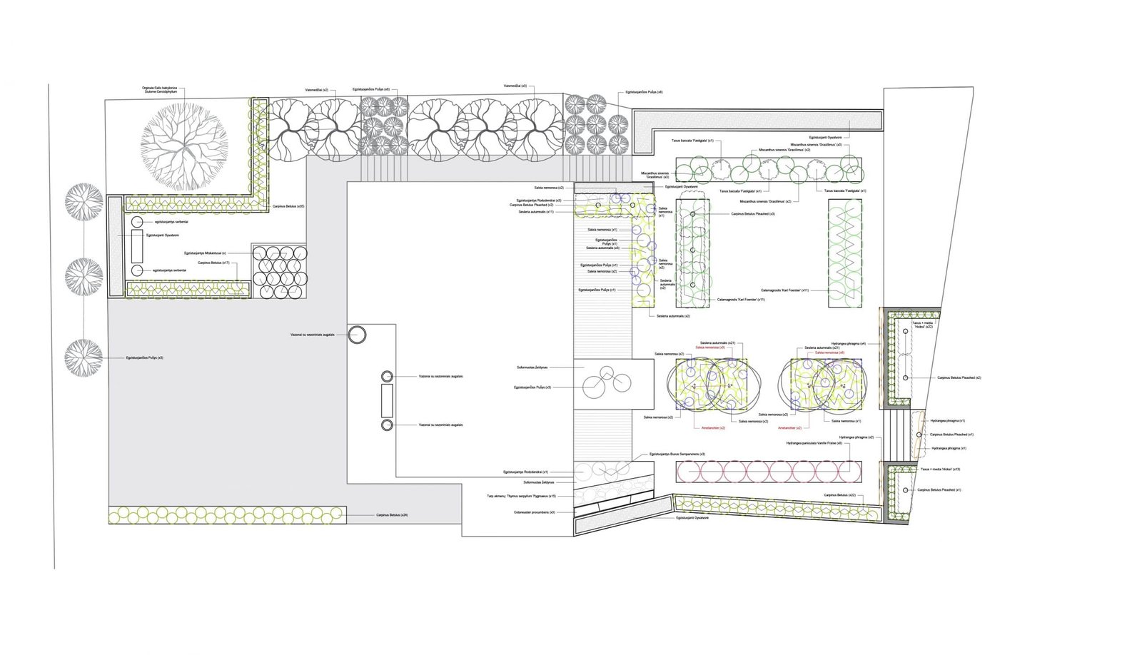 Edited Planting Scan scaled