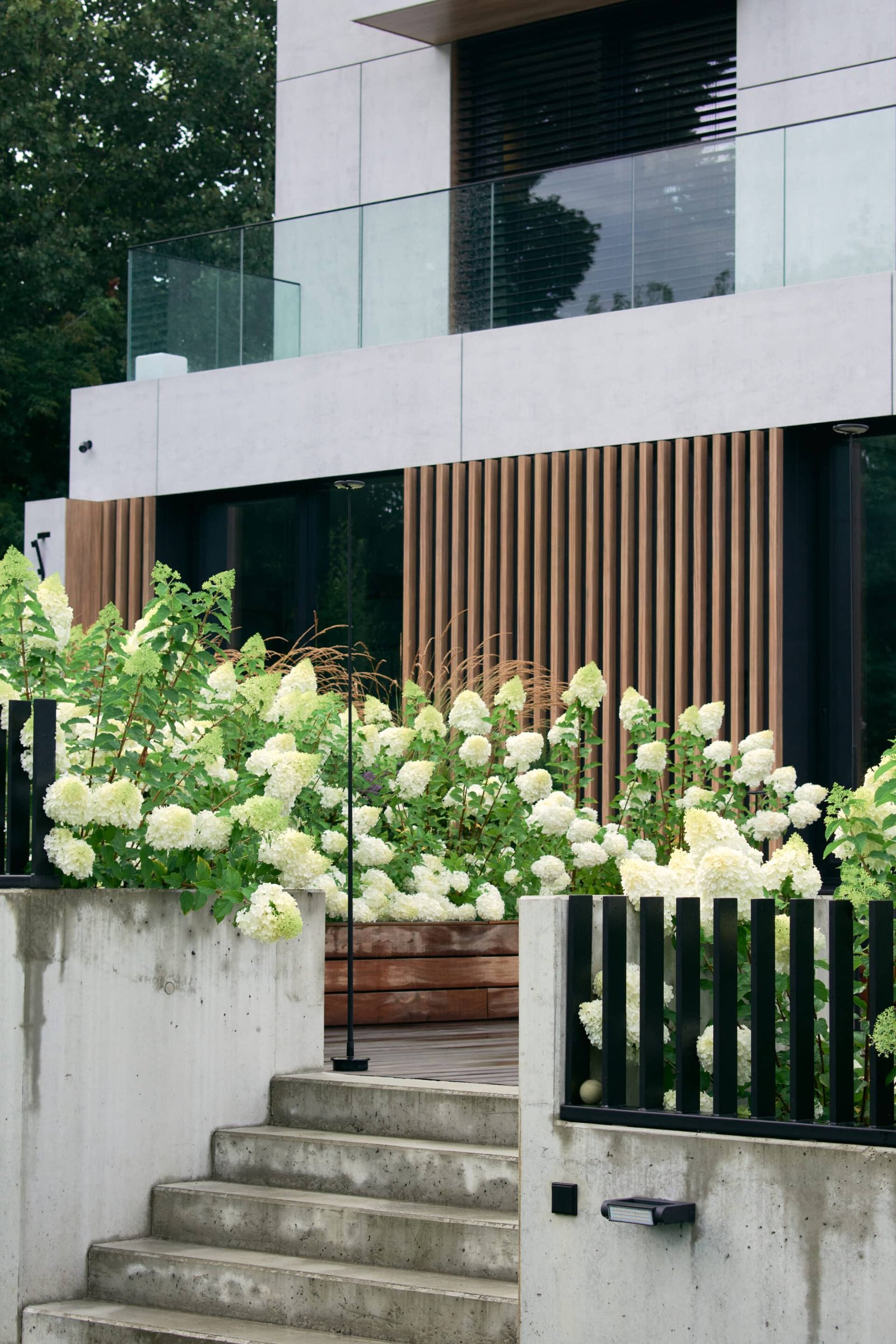 DSC0158 1 Copy scaled